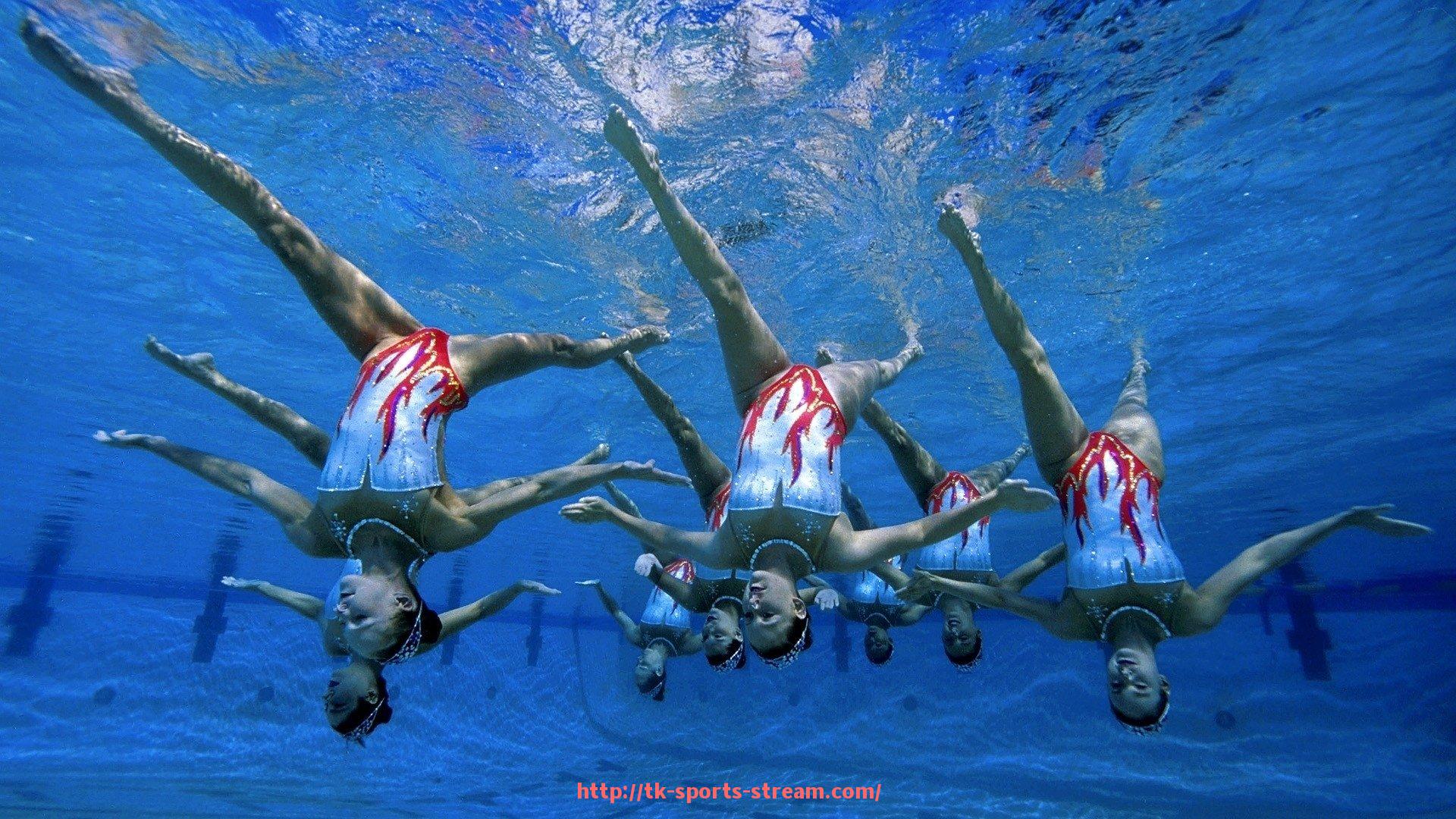 TK体育直播-聚焦世俱杯球迷专属互动直播节目内容与用户反馈